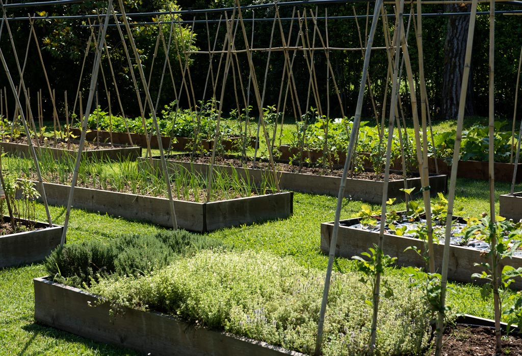 hermitage hotel forte dei marmi garden