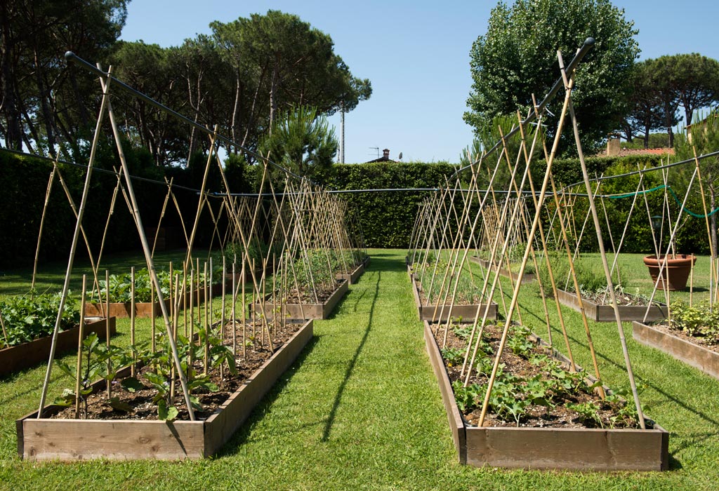 hermitage hotel forte dei marmi garden