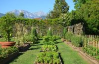 hermitage hotel forte dei marmi garden