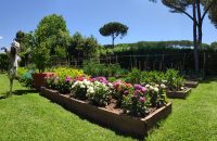 hermitage hotel forte dei marmi garden